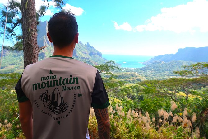 Private Half-Day Hike in the Opunohu Valley in Moorea - Meeting Point Information