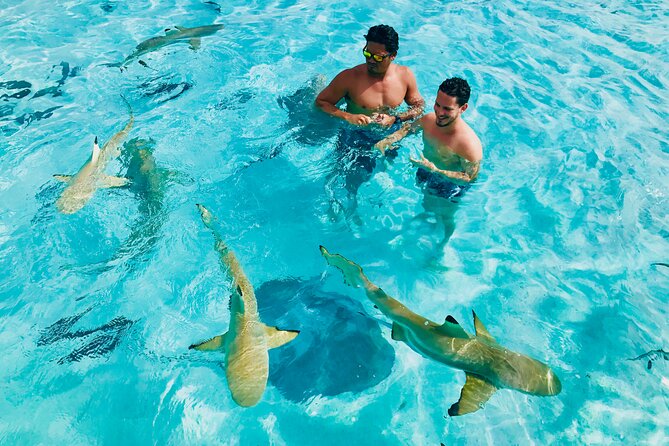Private Half Day Snorkeling in Moorea - Common Questions