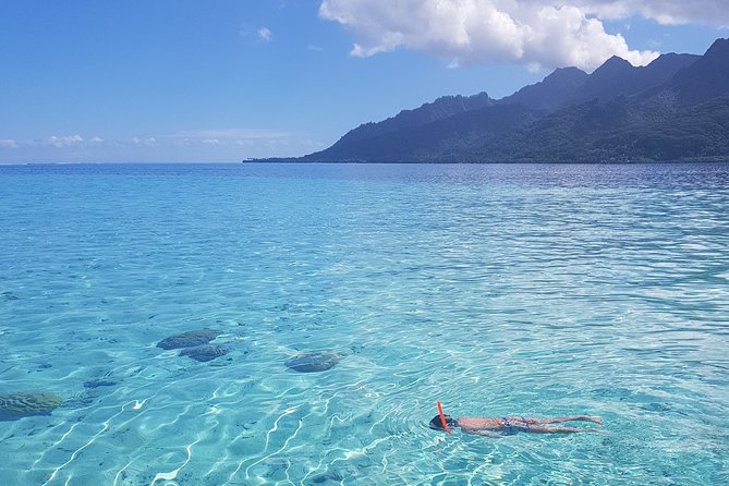 Private Half-Day Snorkeling Tour, Moorea - Honeymoon Experience