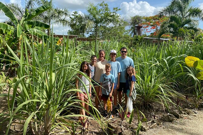 Private Half Day Tour in Dominican Republic With Local Guide - Common Questions
