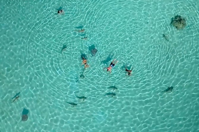 PRIVATE Half Day Tour : Moorea Snorkeling & Sailing on a Catamaran Named Taboo - Inclusions