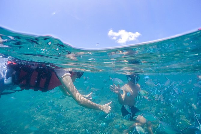 Private Half Day Trip to Pig Island and Koh Tan by Long Tail Boat - Common Questions