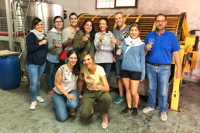 Private Half-Day Wine Tour Near Madrid - Rated Unique and Personalized - Questions