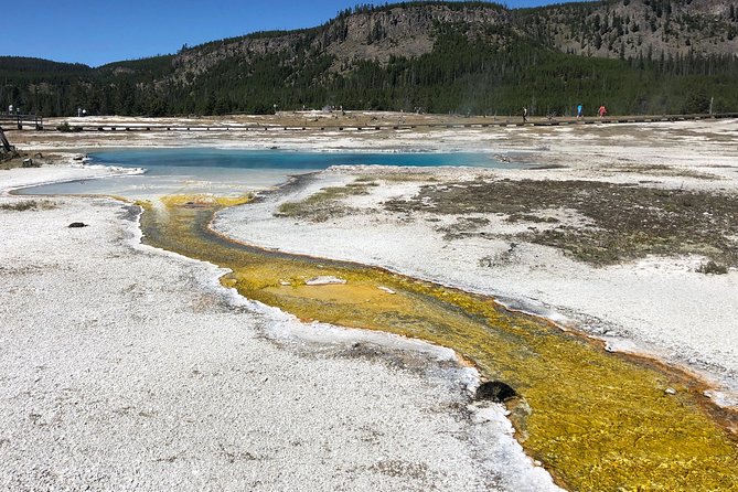 Private Hidden Gems of Yellowstone! Lunch W/ Family Friendly Hikes Included! - Family-Friendly Hikes and Lunch