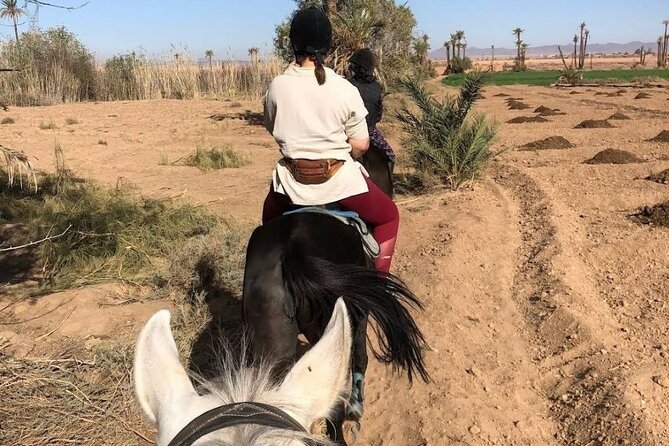 Private Horseback Ride in the Palmeraie of Marrakech - Common Questions