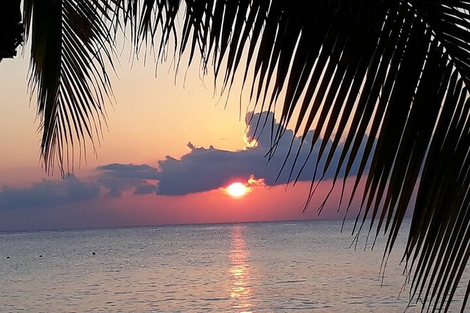 Private Jeep Tour in Cozumel - Customer Experience and Positive Reviews