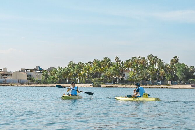 Private Kayaking Adventure Around the Mangroves and La Paz Bay - Reviews and Ratings