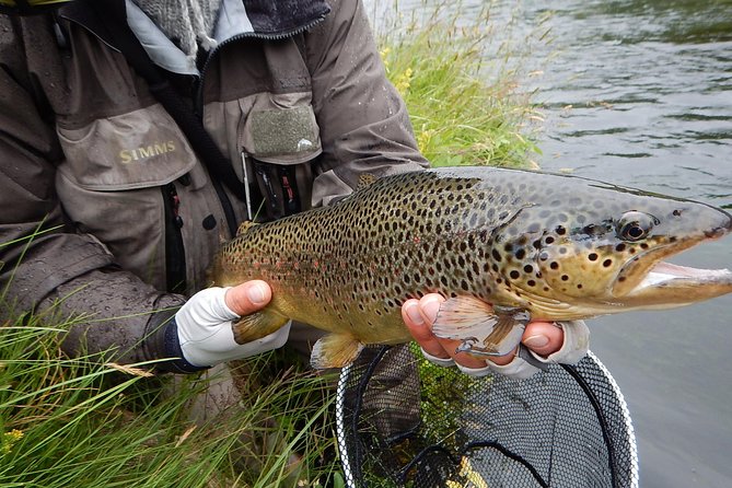 Private Lake and River Fishing Tour From Reykjavik - Itinerary Highlights