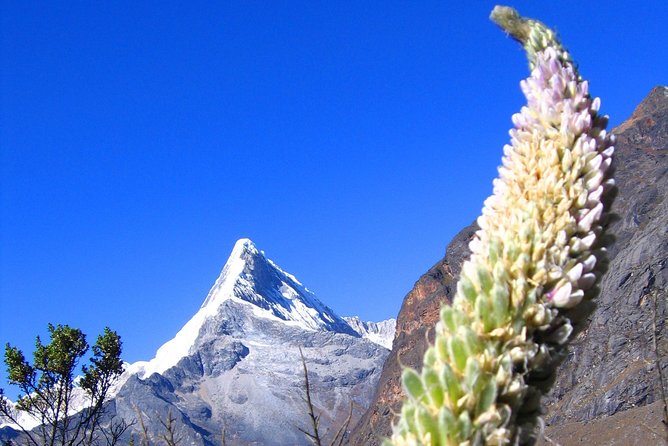 Private Llanganuco-Santa Cruz Trek From Huaraz With Donkeys - The Sum Up