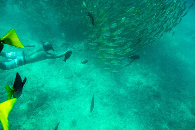 Private Los Cabos Snorkeling Tour to Chileno Bay and Santa Maria Cove - Common Questions