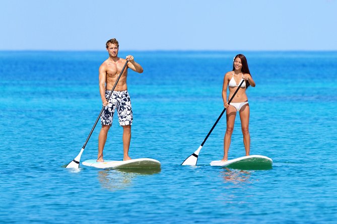 Private Luxury Catamaran Yacht. Full or Half Day Charter - Sail, Beach, Snorkel. - The Sum Up