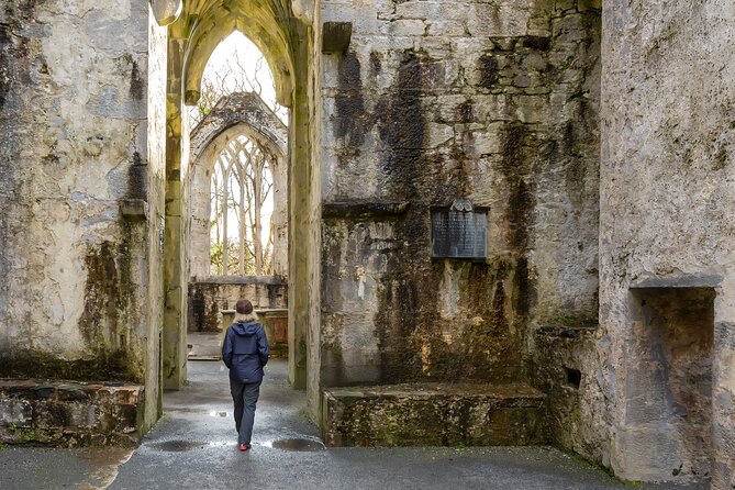 Private Luxury Day Killarney and National Park Tour