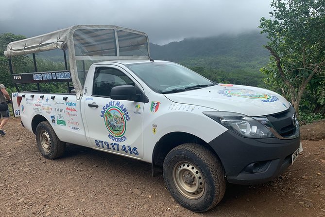 Private Morning Moorea 4WD Tour With Champagne - Champagne Toast and Alcoholic Beverages