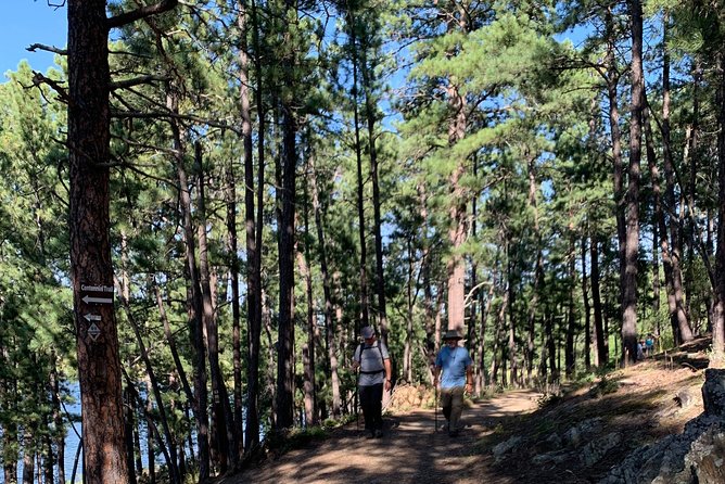 Private Mount Rushmore and Flume Trail Hike - Overview of Private Mount Rushmore and Flume Trail Hike