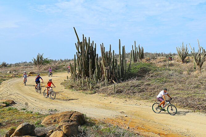Private Mountain Bike Tour on Aruba - Common Questions