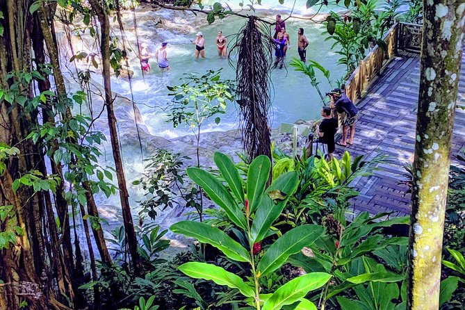 Private Ocho Rios Highlight Tour - Common Questions (FAQs)