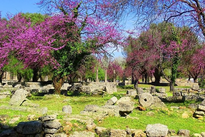 Private Olympia Tour (4.5 Hours) - Traveler Photos and Reviews