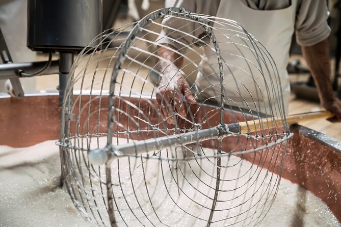 Private Parmigiano Balsamic Parma Ham and Wine Tasting Tour - Tour Highlights