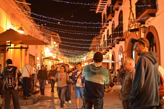Private Personalized Tour of San Cristobal De Las Casas - Common Questions