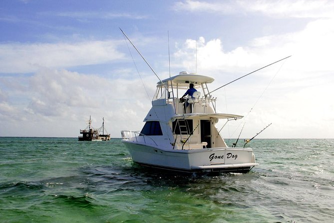 Private Punta Cana Six Hour Fishing Charter - Charter Overview