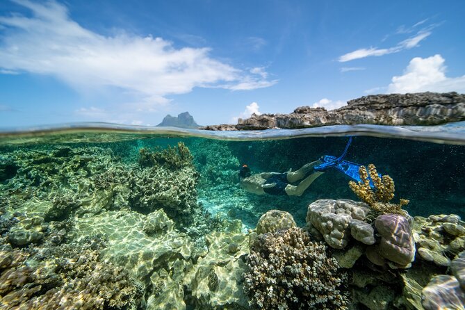 Private Reef Discovery Luxury Dream Day Tour in Bora Bora - Common Questions