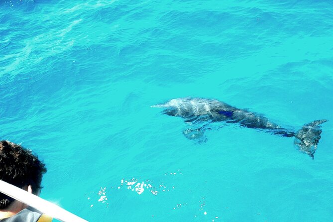 Private Sailing Tour of Pirate Waters and Shipwrecks - Tour Highlights