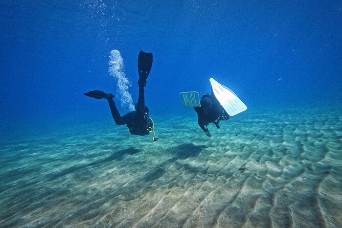 Private Scubadiving With Professional Instructor, Photos Included - Common Questions