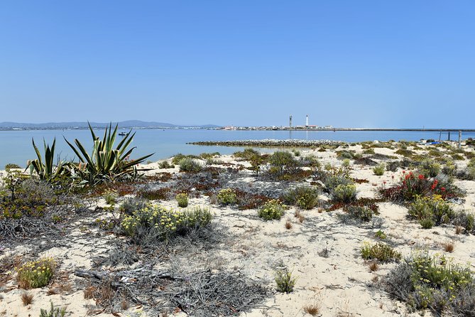 Private Sightseeing Boat Tour in Ria Formosa at Olhão - Common Questions