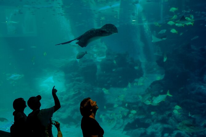 Private Sightseeing Walking Tour of Sentosa - Booking and Reservations