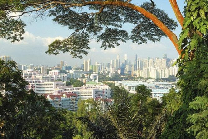 Private Singapore Full Day Round Island Tour With River Cruise - The Sum Up