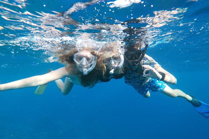 Private Snorkel With 2 Stops in Aruba - Eco-Friendly! - Excursion Highlights