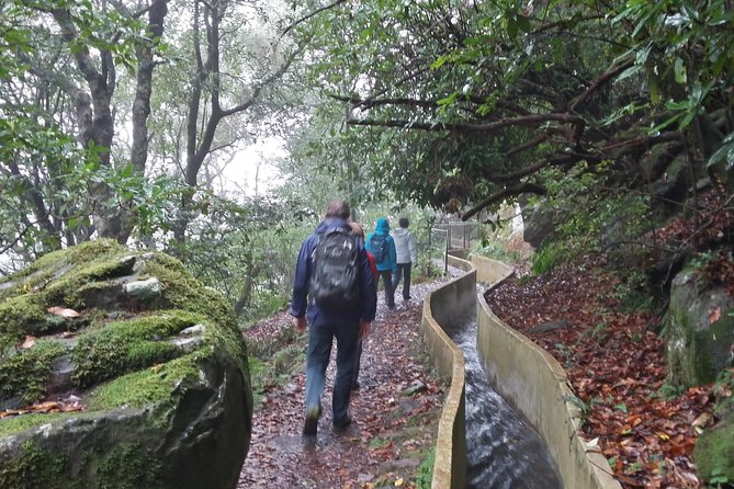 Private Sunrise Guided Hike on Pico Do Areeiro or Other Custom - The Sum Up