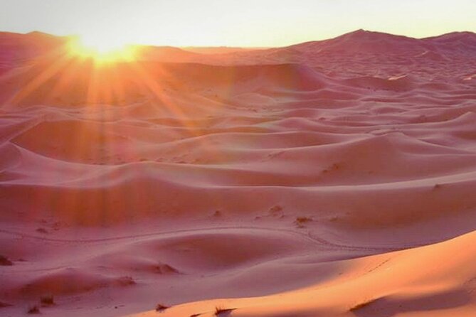 Private Sunrise Safari Tour in Abu Dhabi With Camel Ride - The Sum Up