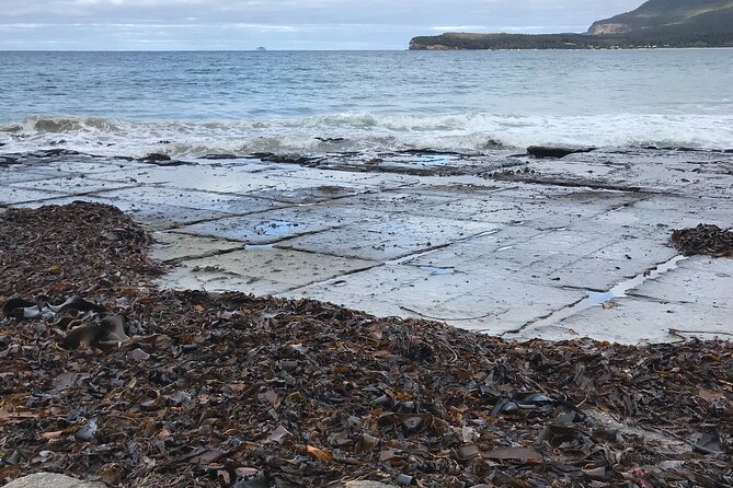 Private Tasman Peninsula Walking Tour - Weather Conditions and Alternatives