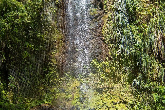 Private Tet Paul Nature Trail/ Mud Baths/ Waterfall - Inclusions and Pickup Details