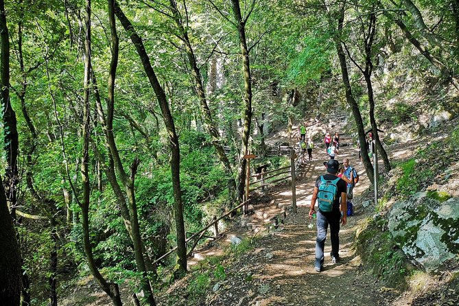 Private Tour: Amalfi Valle Delle Ferriere Nature Reserve Walking Tour - Pricing and Contact Information