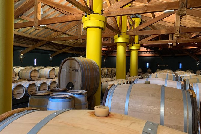 Private Tour and Visits on the Medoc Castle Route (Luxury Minivan) - Transportation Details