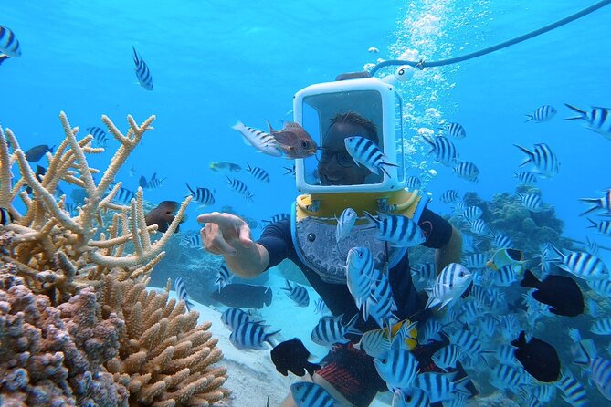 Private Tour: Aqua Safari Scuba Diving - Tour Confirmation and Availability