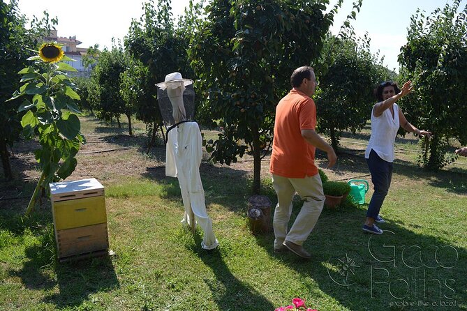 Private Tour at Ancient Olympia With Honey Farm & Food Tasting - Directions