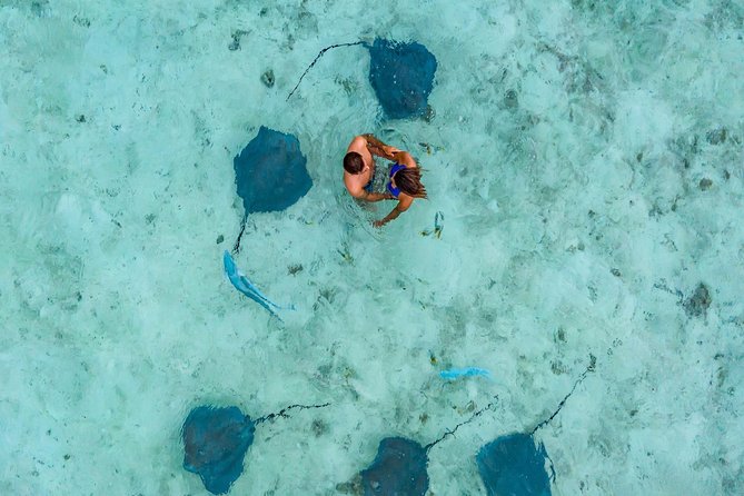 Private Tour: Bora Bora Lagoon Eco Snorkel Cruise - 3hrs or 6hrs - Logistics and What to Expect