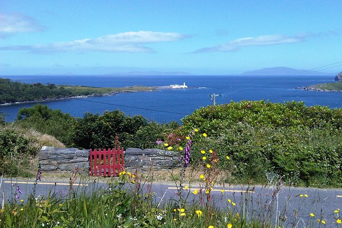 Private Tour Dingle Ring & Slea Head Drive - Copyright and Terms & Conditions