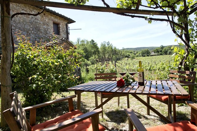 Private Tour From Livorno Port to Chianti Wine Region - The Sum Up