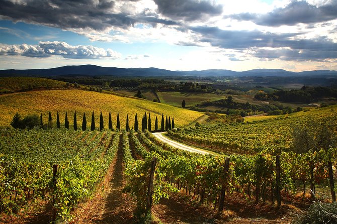 Private Tour: Guided Hike in Tuscany With Transport From Siena - Picnic Lunch With Local Treats