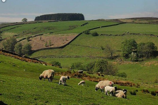 Private Tour - Haworth, Bolton Abbey and Yorkshire Dales Day Trip From Harrogate - Additional Information and Terms & Conditions