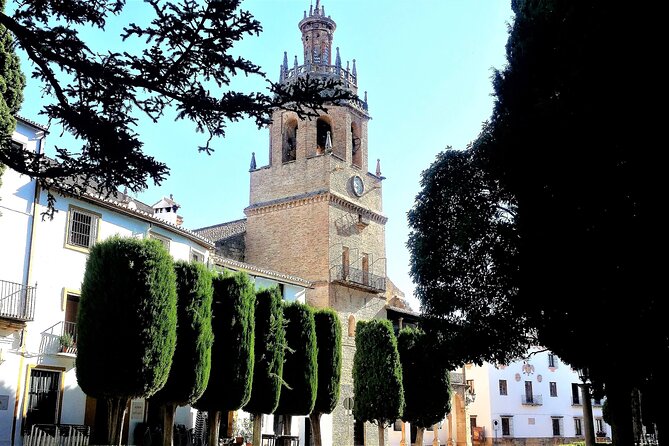 Private Tour in Ronda and in Gibraltar From Marbella - Booking and Contact Information