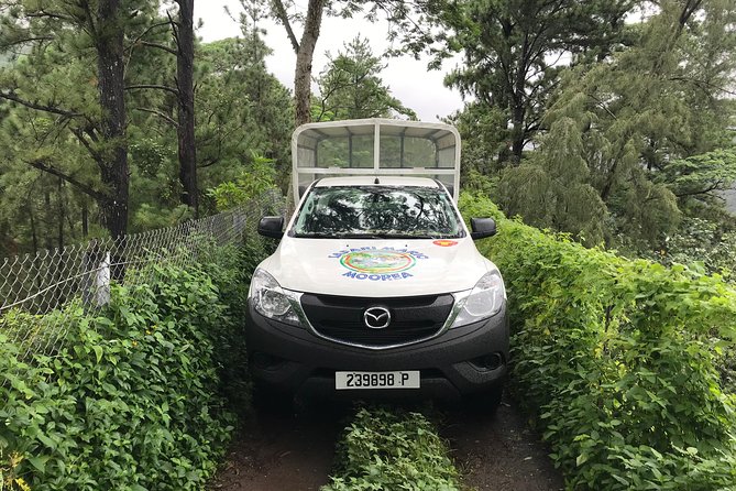 Private Tour Moorea 4WD - Belvedere Pineapple Farm, Magic Mount. - Tour Price and Inclusions