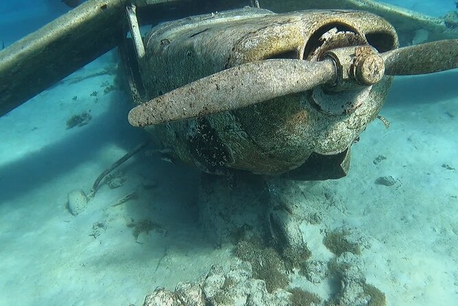 Private Tour of the Tahitis Lagoon by Boat Until 7 Pax - Exclusive Private Experience