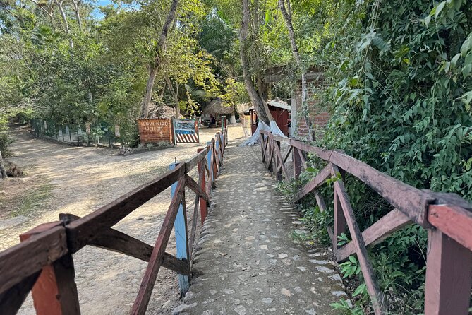 Private Tour to Nuevo Ixtlan Hot Springs With BBQ - Common Questions