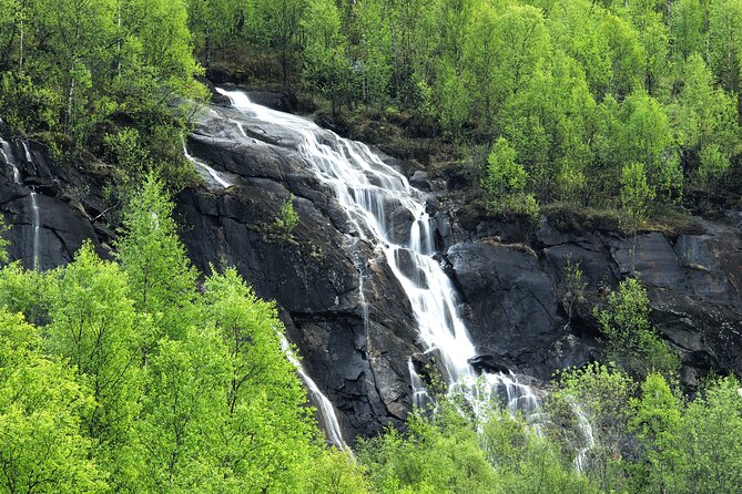 Private Transfer From Kiruna to Abisko - Private Transfer Service Options