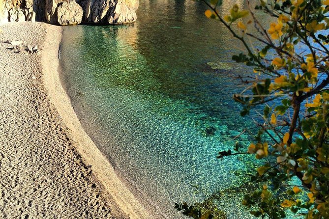 Private Transfer Palermo Airport To/From Portorosa Marina Yachting - Directions